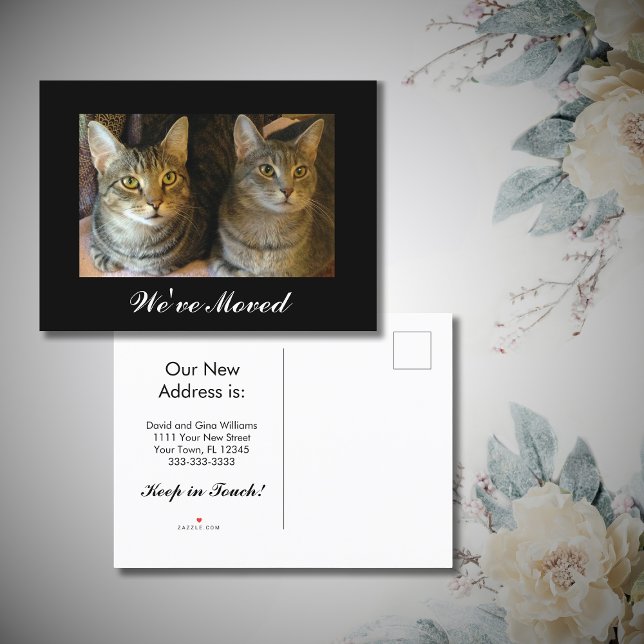 We've moved New Home Cats Photo Black White Moving Announcement Postcard (Creator Uploaded)
