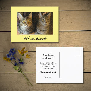 We've Moved New Home Cats Yellow Moving Announcement Postcard