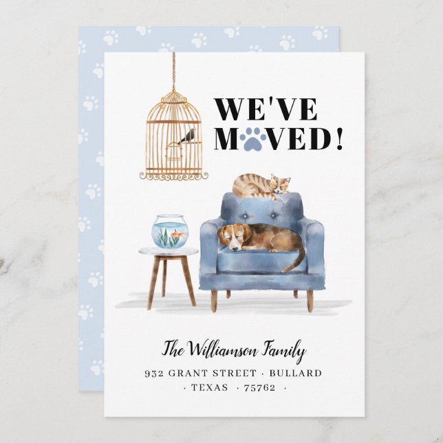 We've Moved New Home Dog & Cat Sleeping Blue Sofa Announcement (Front/Back)