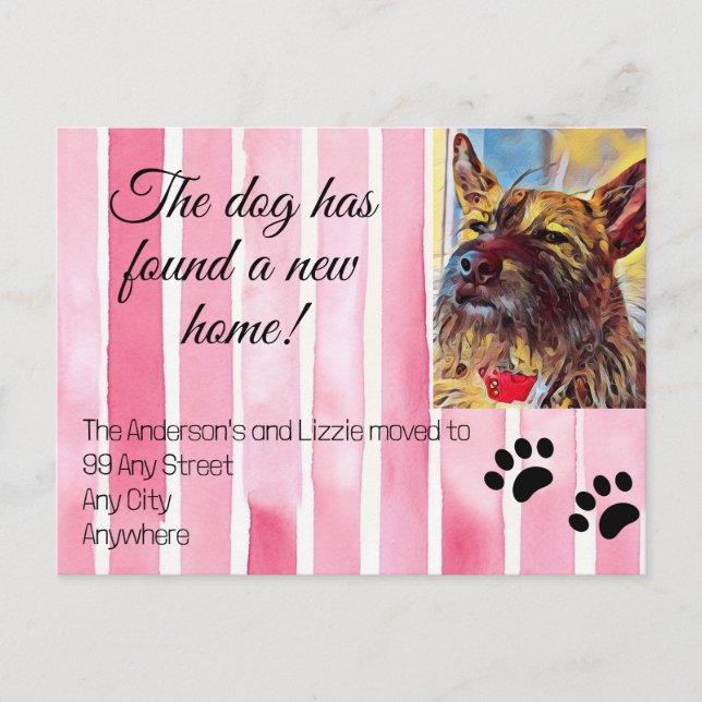 We've Moved Pet Photo New Address Notice Announcement Postcard (Front)
