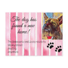 We've Moved Pet Photo New Address Notice