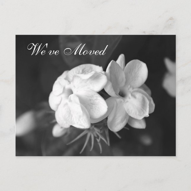 We've Moved Postcard (Front)