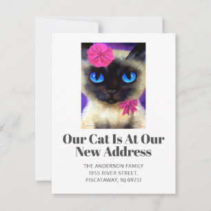 We've Moved Siamese Cat Pet New Home Script Moving Announcement