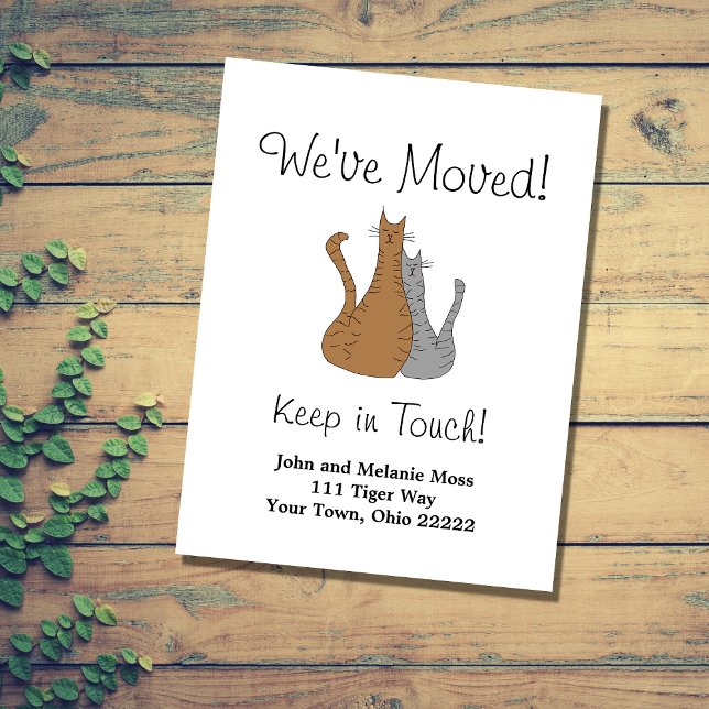 We've Moved Tabby Cats Announcement Postcard (Creator Uploaded)