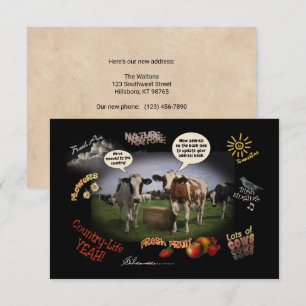 We've moved to the Country (custom.) Announcement