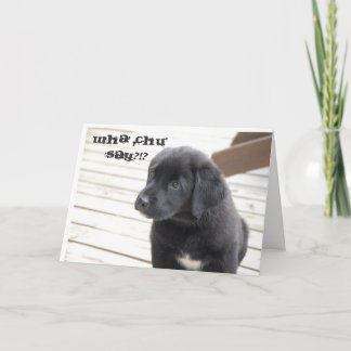 wha' chu' say?!? card