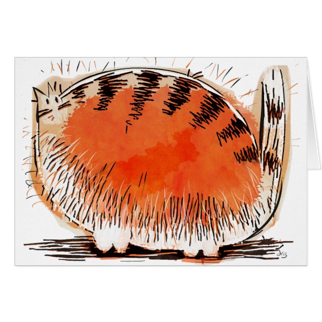whacky orange cartoon cat (Front Horizontal)