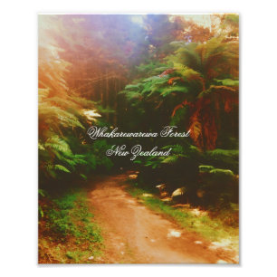 Whakarewarewa Forest, Rotorua, New Zealand Photo Print