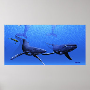 Whale 01 Print