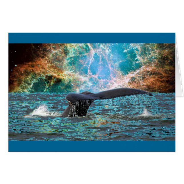 Whale and Supernova (Front Horizontal)