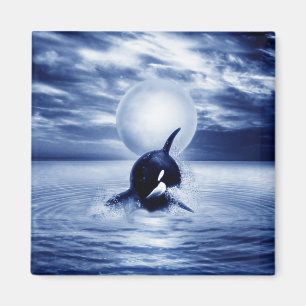 Whale and the moon in 2012 magnet