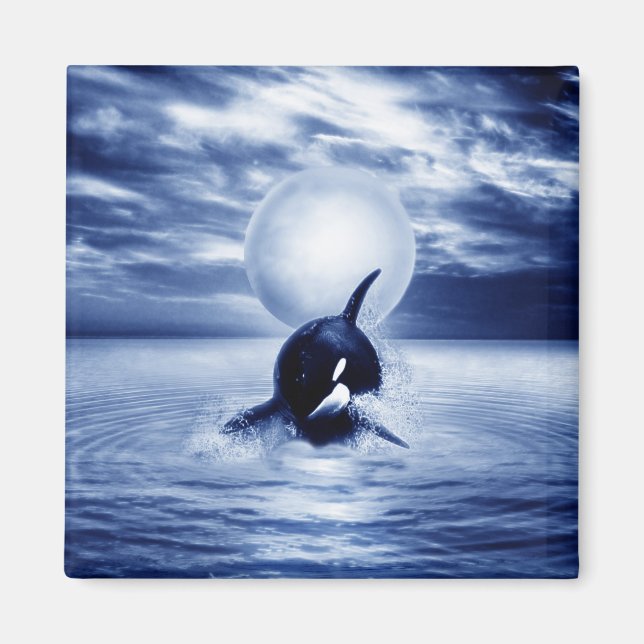 Whale and the moon in 2012 magnet (Front)
