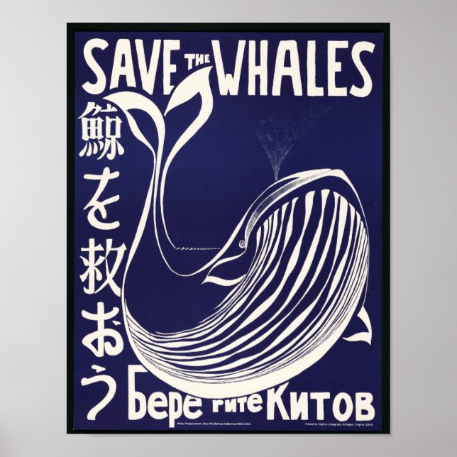 Whale Art Unedited Vintage Photos Old Aesthetic Poster (Front)