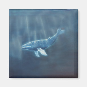 Whale Below Magnet