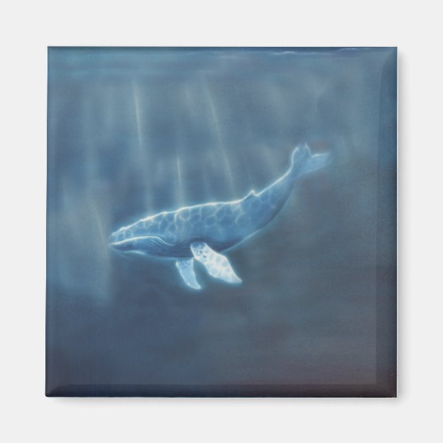 Whale Below Magnet (Front)