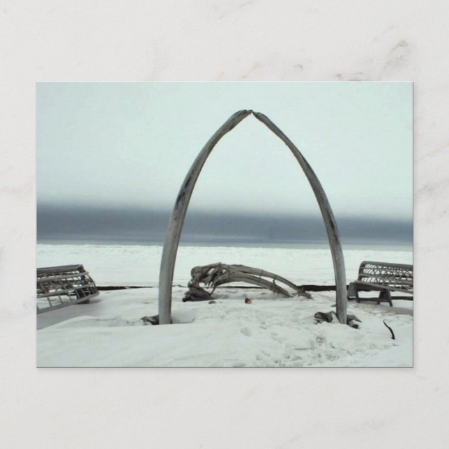 Whale Bone Rib Arc and Skin Boat Frames at Barrow, Postcard (Front)
