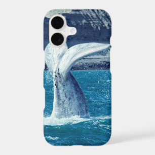 Whale calf tail - Argentina