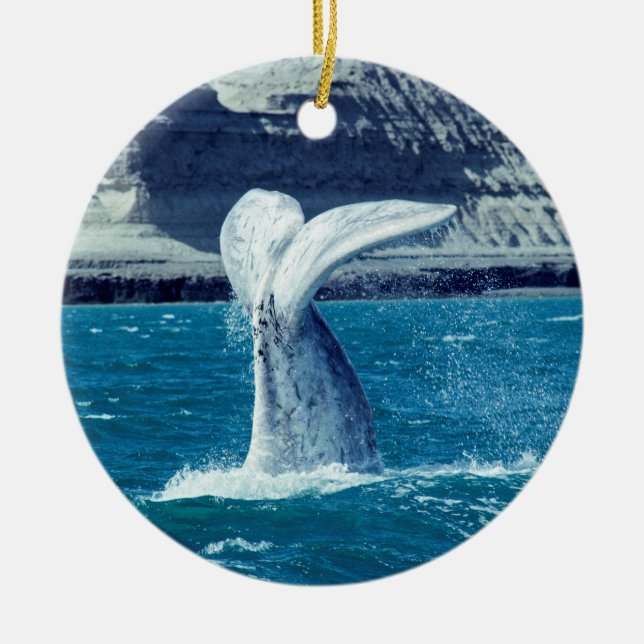 Whale calf tail - Argentina Ceramic Ornament (Front)