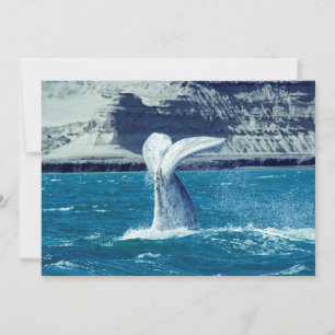 Whale calf tail - Argentina Invitation