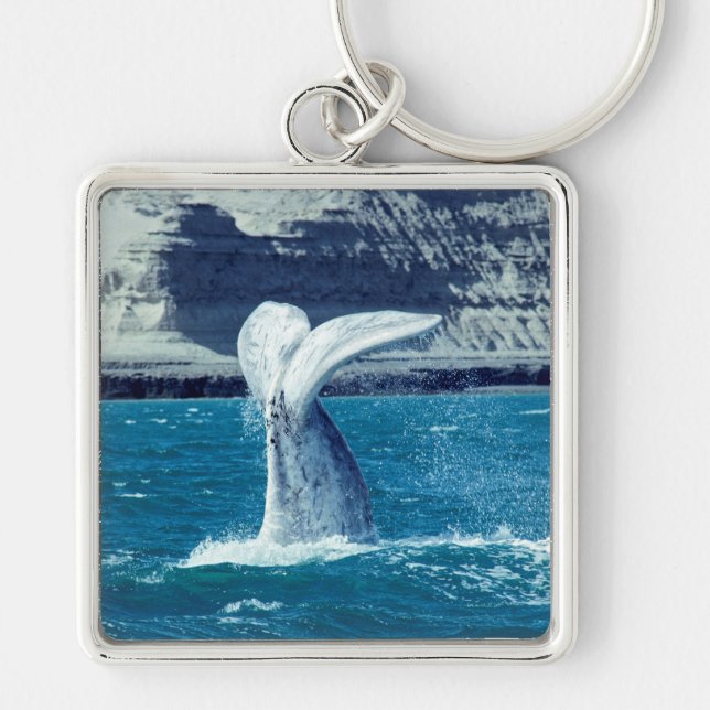 Whale calf tail - Argentina Key Ring (Front)