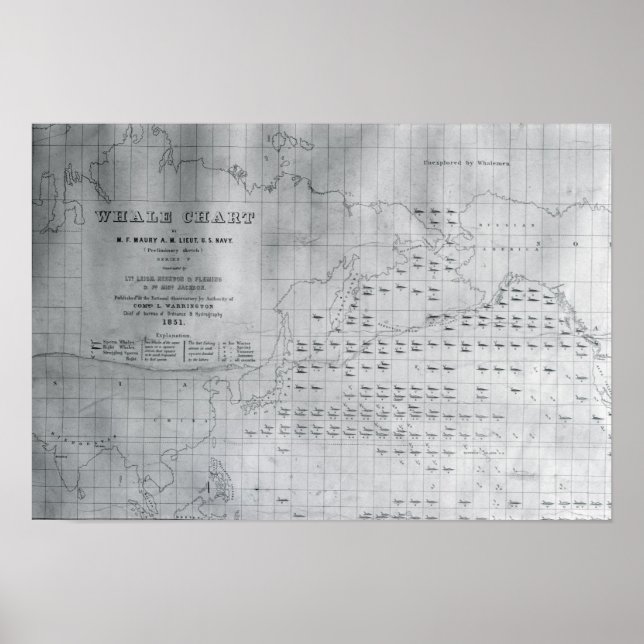 Whale Chart of the North Pacific, 1851 (Front)