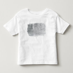 Whale Chart of the North Pacific, 1851 Toddler T-Shirt