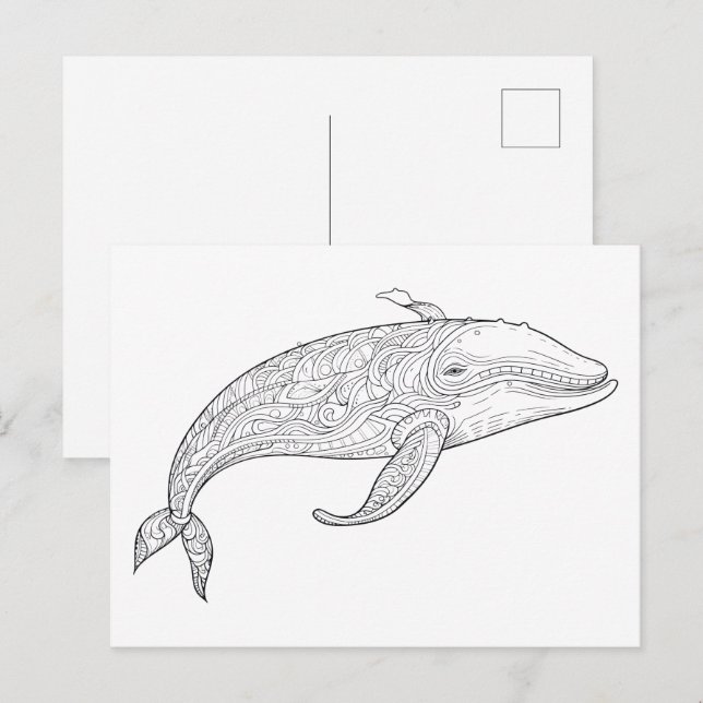 Whale doodle drawing. postcard (Front/Back)