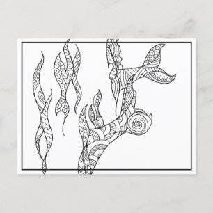 Whale Flukes Black and White Postcard