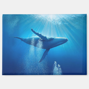 Whale Ocean Sea Nature Blue Water Deep Wildlife Magnet