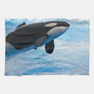 Whale of a Time Kitchen Towel