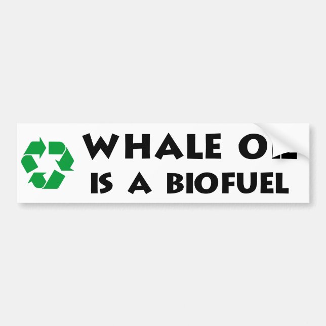 Whale Oil Is a Biofuel Bumper Sticker (Front)