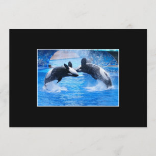 Whale Photo Invitation