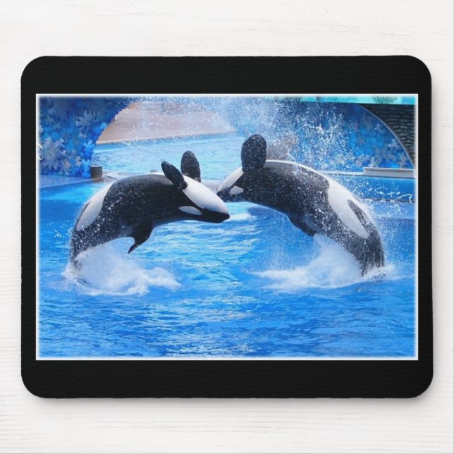Whale Photo Mouse Pad (Front)