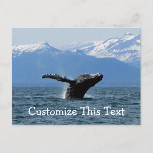 Whale Playtime; Customisable Postcard