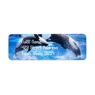 Whale Return Address Mailing Label