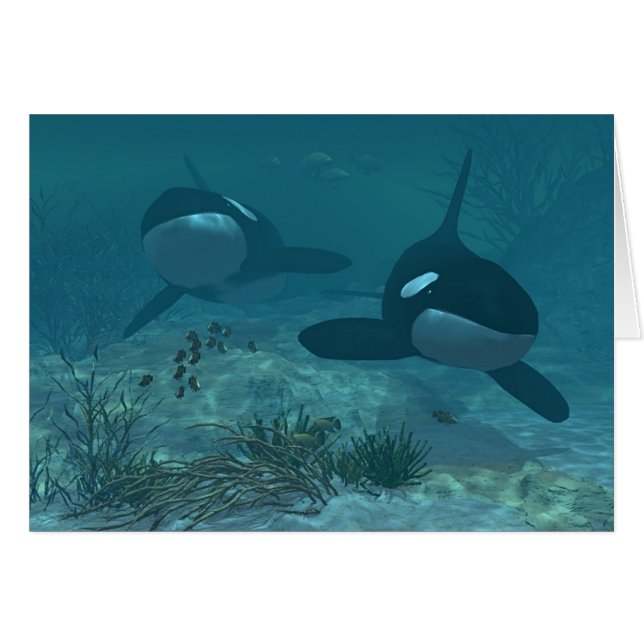 Whale Scene (Front Horizontal)