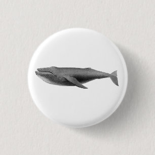 WHALE SEALIFE BUTTON
