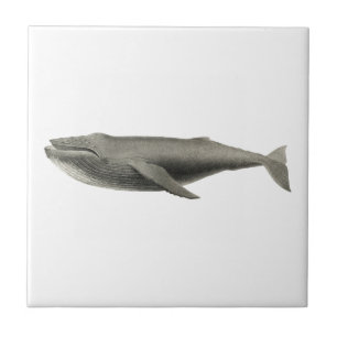"WHALE" SEALIFE CERAMIC TILE