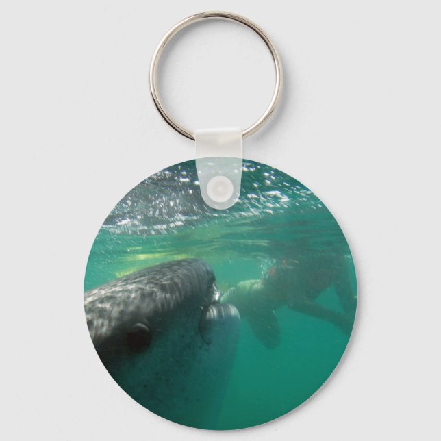 Whale Shark and Swimmer Key Ring (Front)