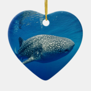 Whale Shark Ceramic Ornament