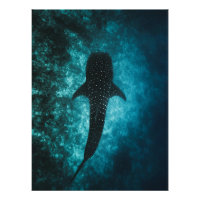 Whale Shark Depths – Ocean Wall Art