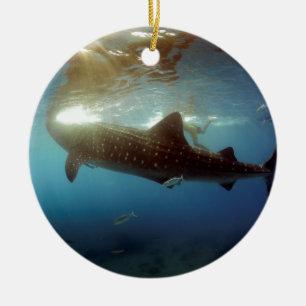 Whale shark feeding ceramic ornament