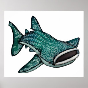 Whale Shark Illustration Poster
