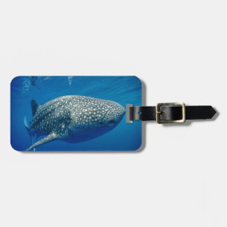 Whale Shark Luggage Tag