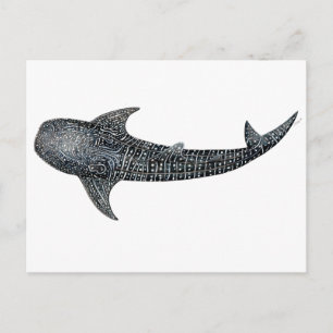 Whale shark postcard