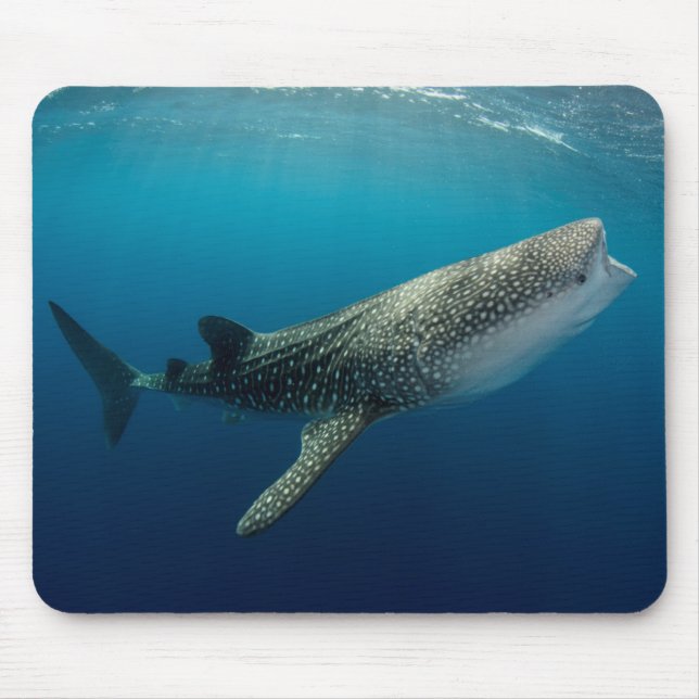 Whale Shark Swimming Mouse Pad (Front)