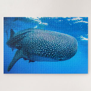 Whale Sharks Jigsaw Puzzle