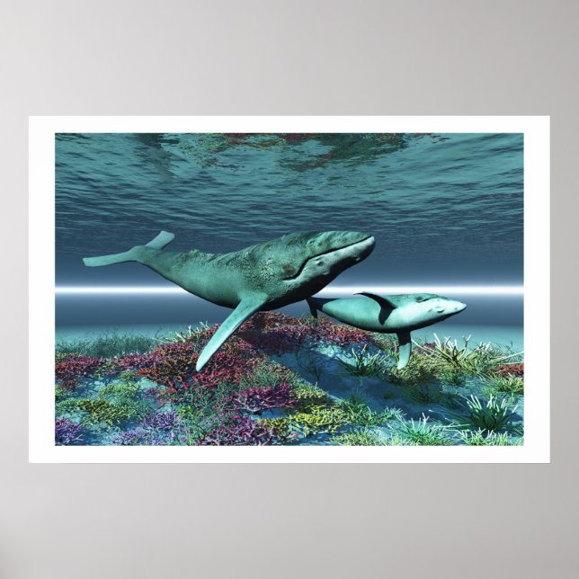 WHALE SONG PRINT (Front)