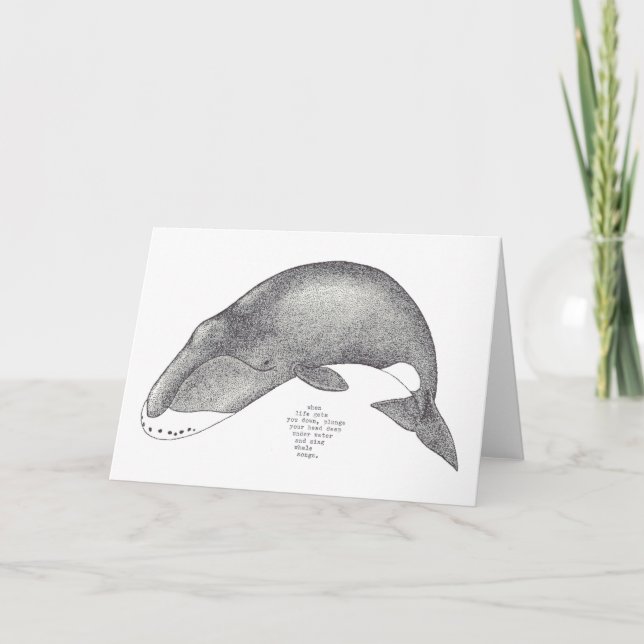 whale songs card (Front)