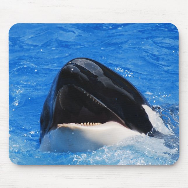 Whale Sounds Mouse Pad (Front)